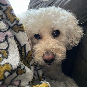 Meet your Posher, Mary